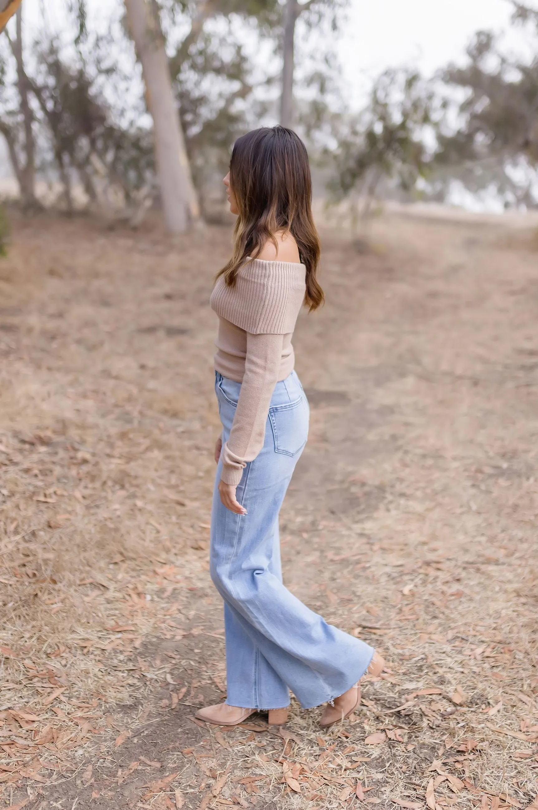 Brynn Long Sleeve Off The Shoulder Sweater Top Taupe